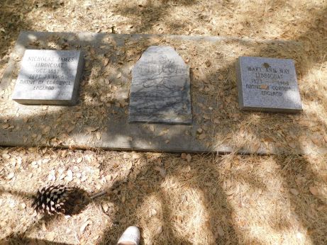 [Picture of Liddlecoat grave]